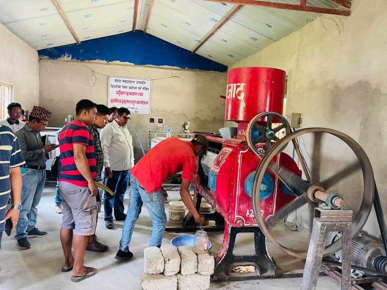 चिउरीको बियाँ पेल्न स्थापित मेसिनको परिक्षण उत्पादन